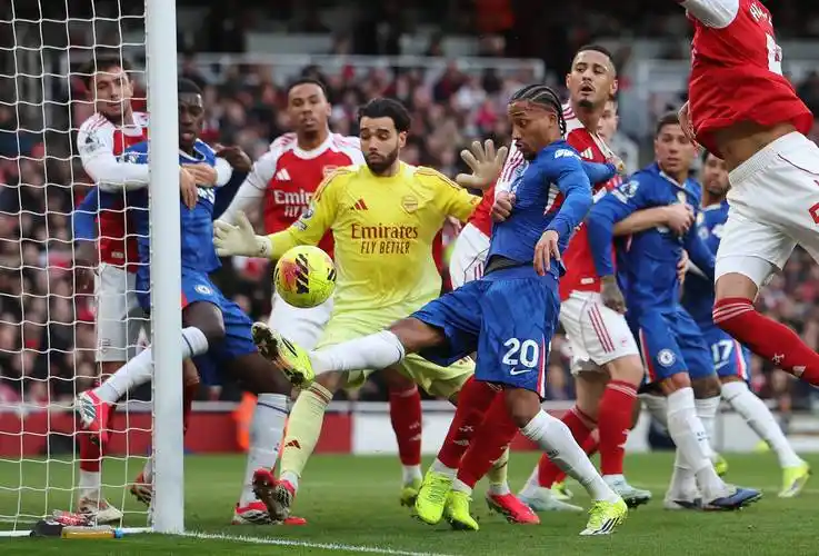 雨燕直播免费看